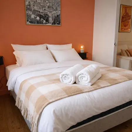 Superbe Au Coeur Du Centre-ville 2-4 Personnes Апартаменты Анже